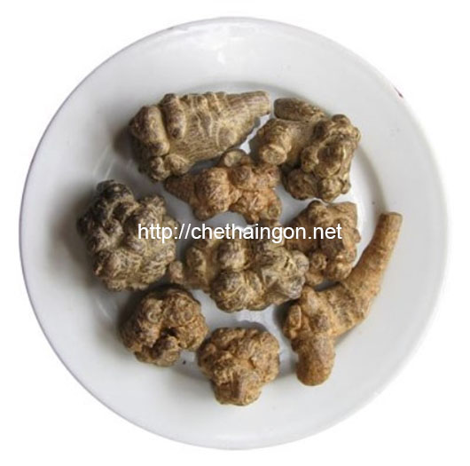 Củ tam thất làm tăng kích thước vòng 1