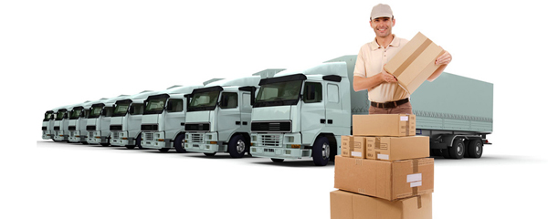 Cước phí vận chuyển
