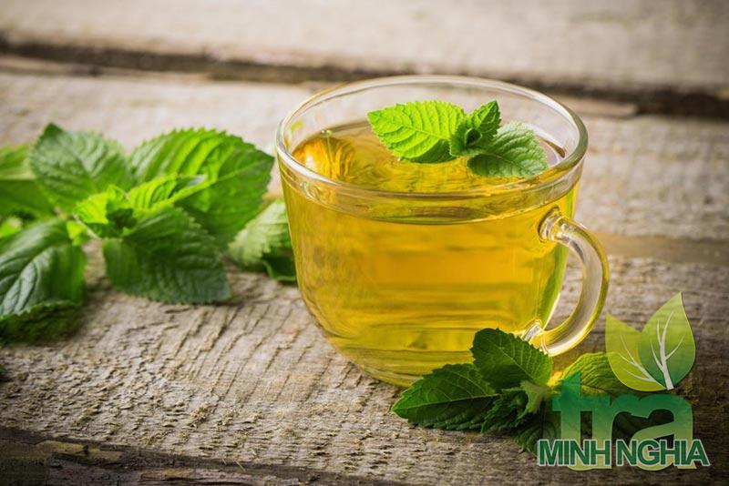 Giới thiệu 5 loại trà Thảo mộc tốt nhất cho sức khỏe