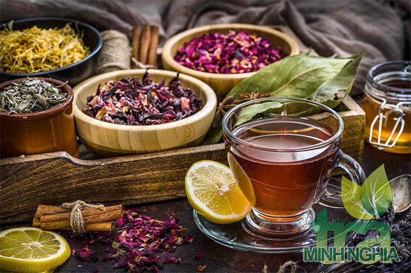 Top 10 lọai trà thảo dược chống mệt mỏi tốt nhất