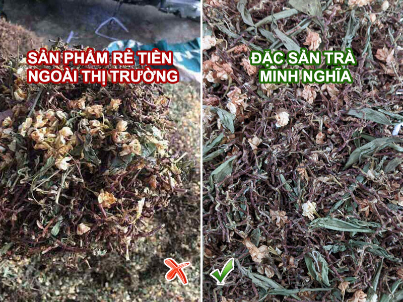 Trà sơn mật hồng sâm có những loại nào? Có gì khác biệt giữa các loại này?