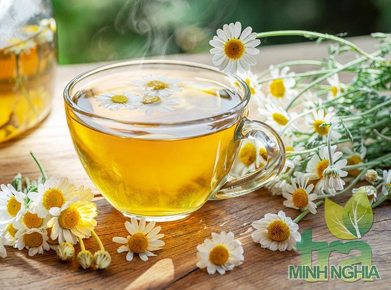 Trà hoa cúc 1 trong 5 loại thảo mộc tốt cho sức khoẻ