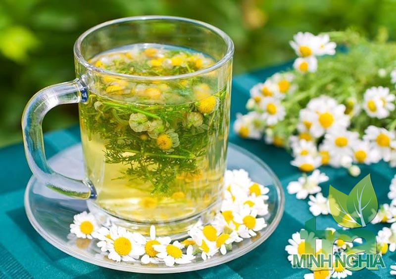 Trà hoa cúc trung quốc 1 trong 5 loại thảo mộc tốt cho sức khoẻ