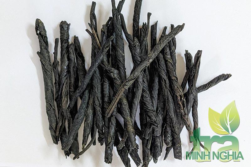 Tìm hiểu về cây chè đắng vị thuốc quý dân gian