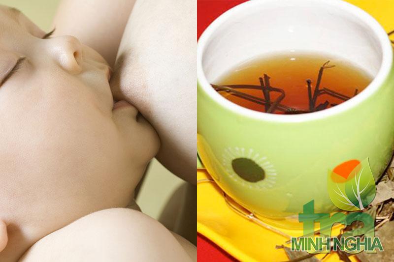 Chè vằng lợi sữa thức uống tốt của sản phụ
