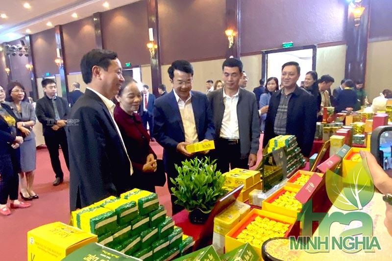 Nhiều chính sách hỗ trợ ngành chè phát huy hiệu quả 