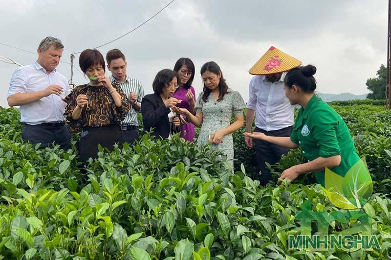 Thái Nguyên thúc đẩy du lịch gắn với Festival Trà 