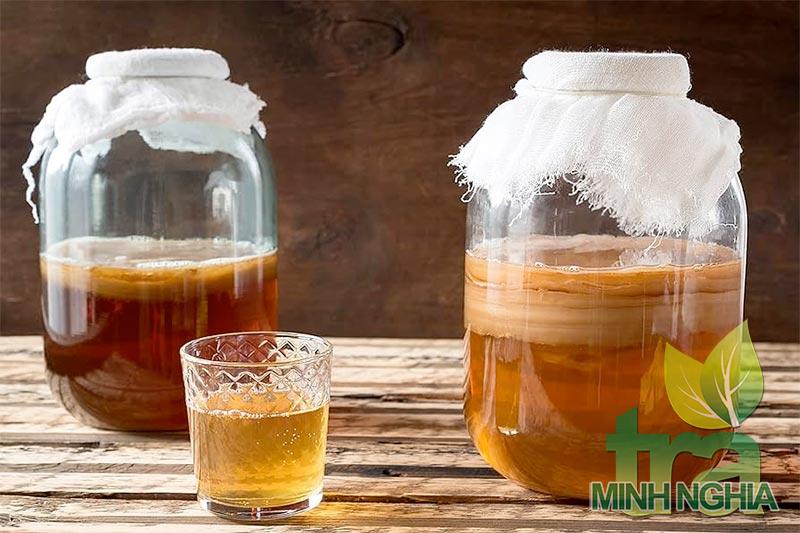 Hướng dẫn làm trà dưỡng sinh Kombucha cực dễ