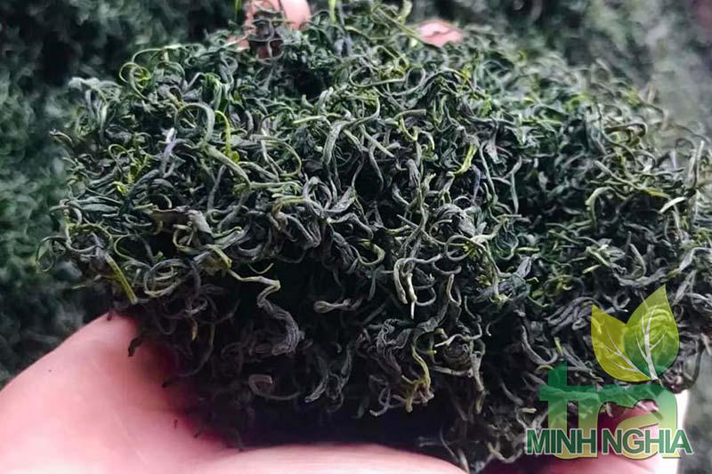 Cách phân biệt chè sạch chè bẩn