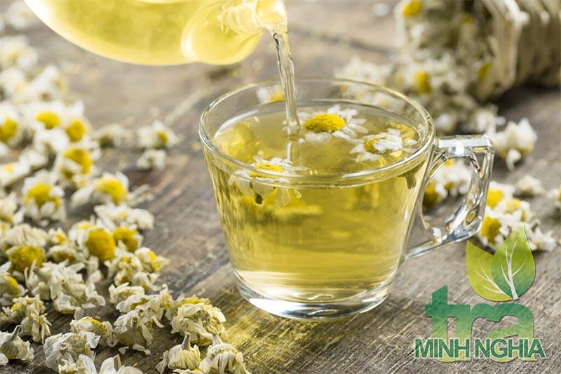 Hướng dẫn pha trà hoa cúc, cỏ ngọt thơm ngon bổ dưỡng
