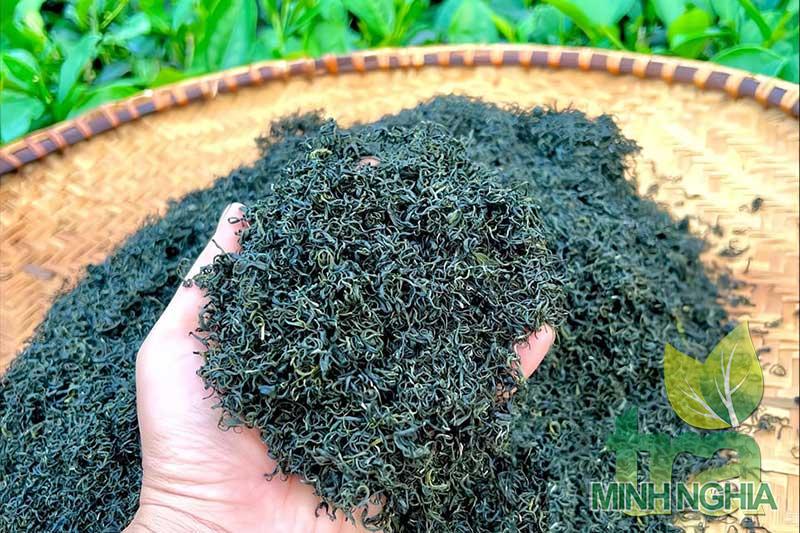 Phân biệt chè Tân Cương Thái Nguyên chính hiệu