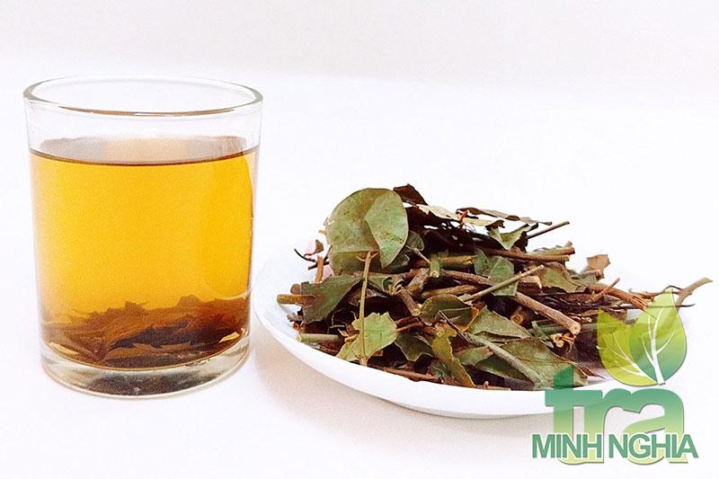 Sử dụng chè vằng để giảm cân và chữa một số bệnh