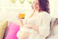 Trà Sơn Mật Hồng Sâm bầu có uống được không?