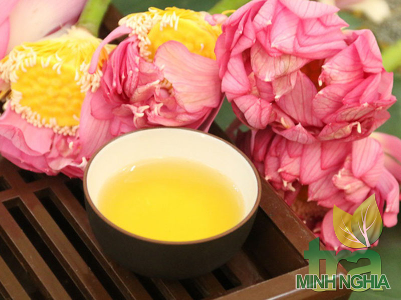 Bí quyết ướp trà sen tươi thơm ngon tuyệt đỉnh
