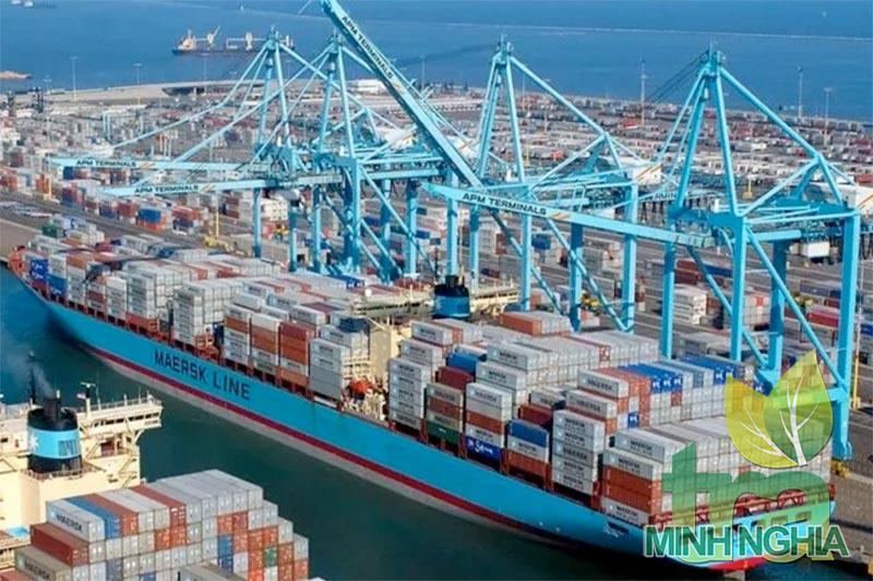 Xuất khẩu chè tăng trưởng và bài toán mở rộng miếng bánh thị phần 