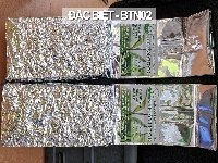 Chè Tân Cương loại đặc biệt túi 200g