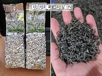 Chè Tân Cương loại đặc biệt túi 200g
