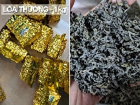 Trà Tân Cương loại thường túi 1kg