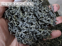 Trà Tân Cương loại thường