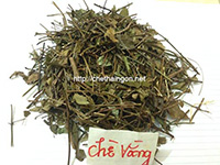 Chè vằng sao khô