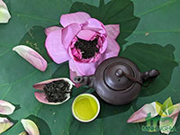 Nước pha trà ướp sen Tây Hồ