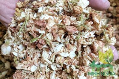 Hoa nhài có tính mát, vị cay và ngọt, có tác dụng thanh nhiệt và giải độc