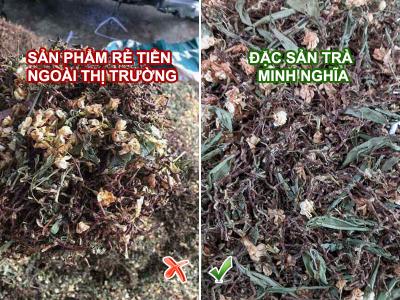 Trà sơn mật hồng sâm có những loại nào? Có gì khác biệt giữa các loại này?