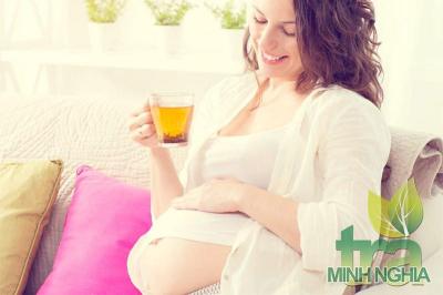 Trà Sơn Mật Hồng Sâm bầu có uống được không?