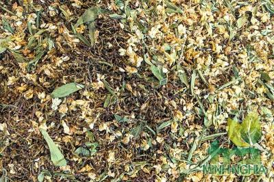 Bí quyết lựa chọn sản phẩm trà Sơn Mật Hồng Sâm chuẩn chất lượng