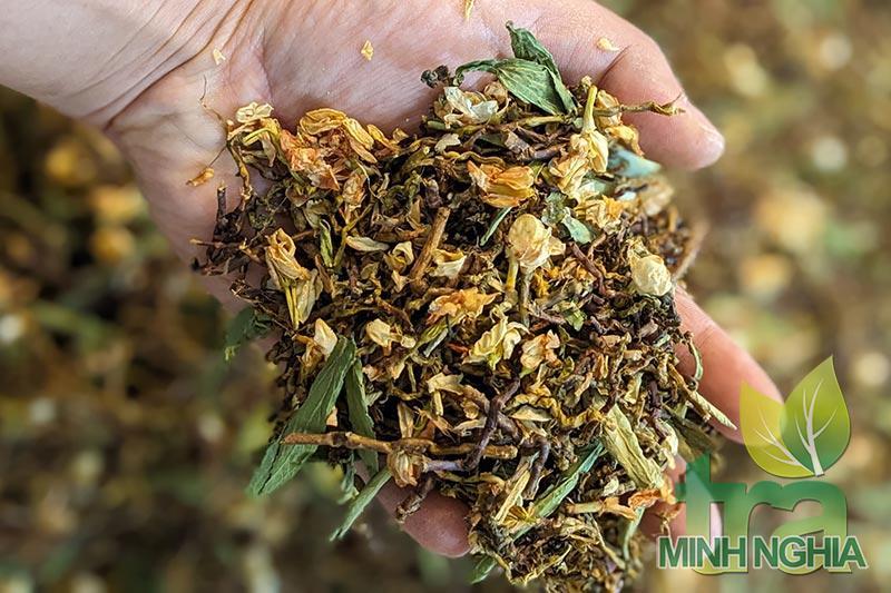 Các thành phần trong trà sơn mật hồng sâm