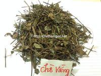 Chè vằng sao khô